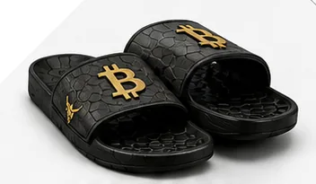 BITCOIN SLIDES